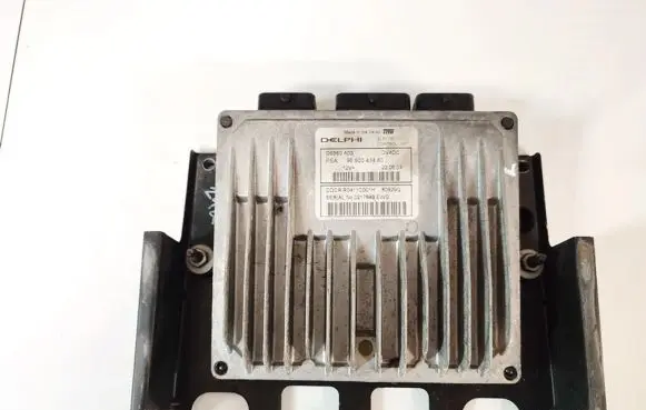Citroen C3 Engine control unit/module 9650043480 g6b60a03