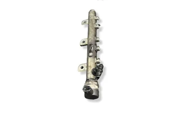 Chrysler Grand Voyager V Fuel pressure regulator 0281002829