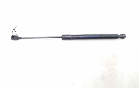 Tailgate strut