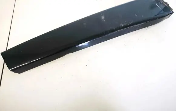 Other rear door trim element
