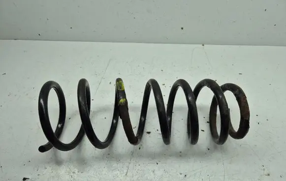 Rear coil spring