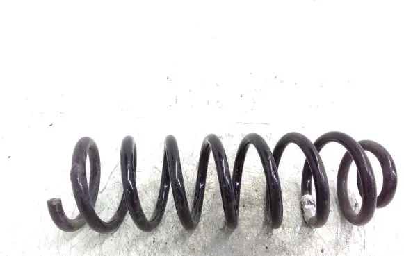 Renault Scenic II - Grand scenic II Rear coil spring
