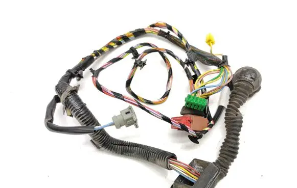 Front door wiring loom
