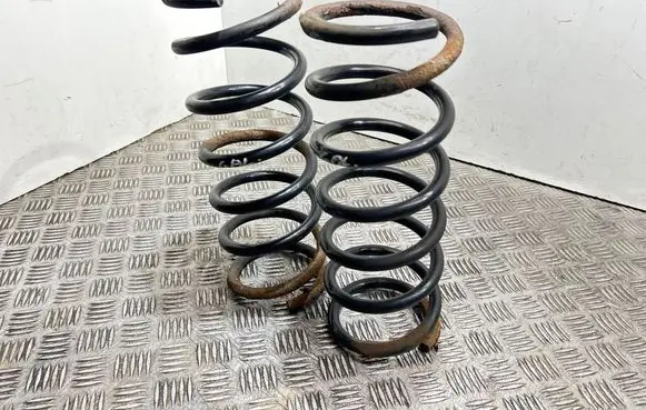 Rear coil spring