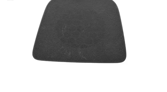 Jaguar F-Pace Dash center speaker trim cover GX7304405AAW
