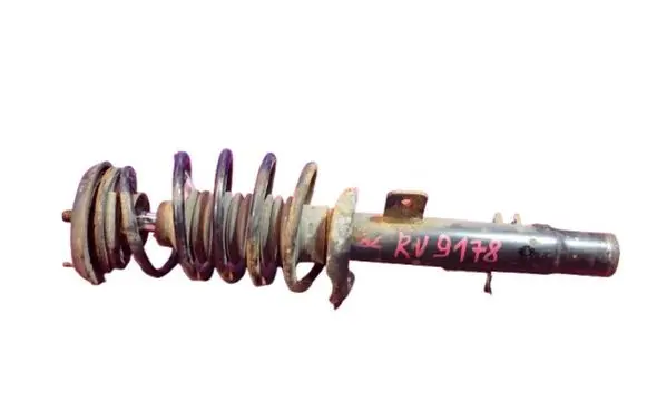 Citroen C3 Front shock absorber with coil spring