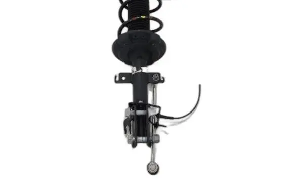 Renault Captur II Front shock absorber/damper 543020474R