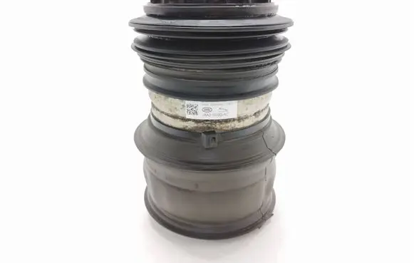 Jaguar I-Pace Rear air suspension bag/shock absorber J8A25580AC F309515402