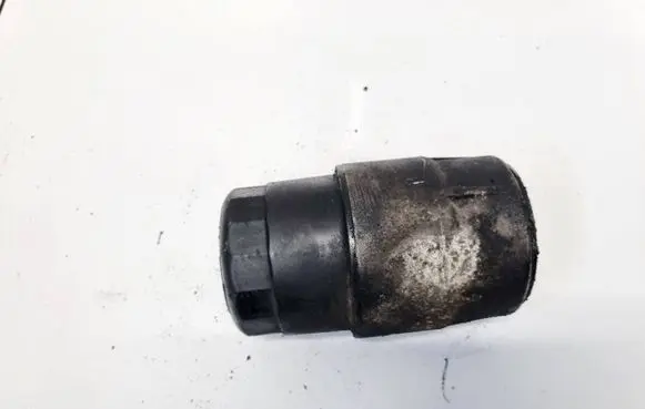 Hyundai Santa Fe Oil filter cover 