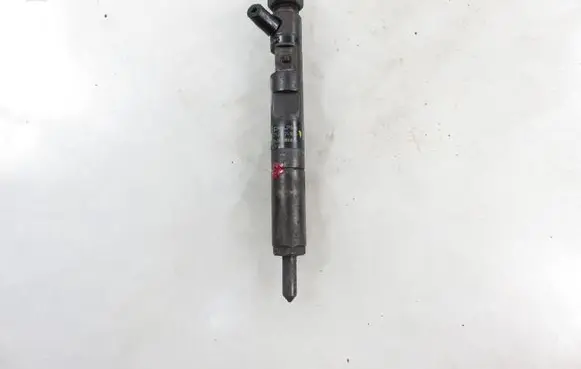 Renault Kangoo I Fuel injector 8200631856 8200049873 28232248ES