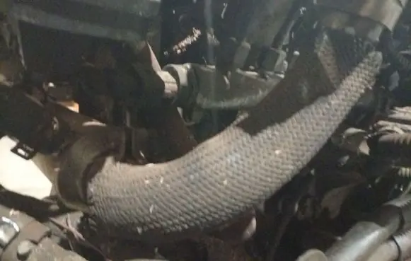Opel Astra H EGR valve line/pipe/hose