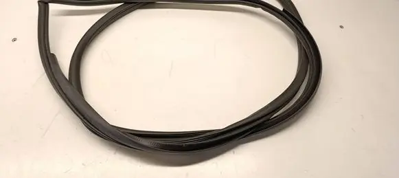 Toyota C-HR I Front door rubber seal 
