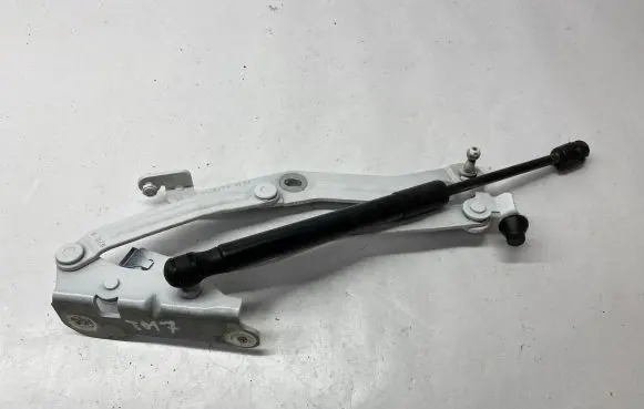 Ford Mustang VI Tailgate/trunk/boot hinge FR3B6342700