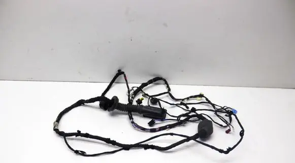 BMW iX3 G08 Front door wiring loom 5A48FD3