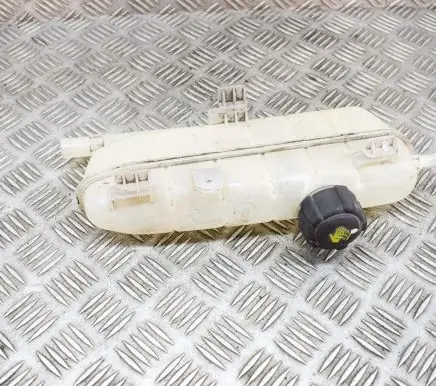 Renault Zoe Coolant expansion tank/reservoir 217101652R