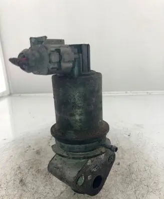 EGR valve