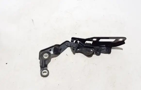 Porsche Panamera (970) Engine bonnet/hood hinges 97051115102