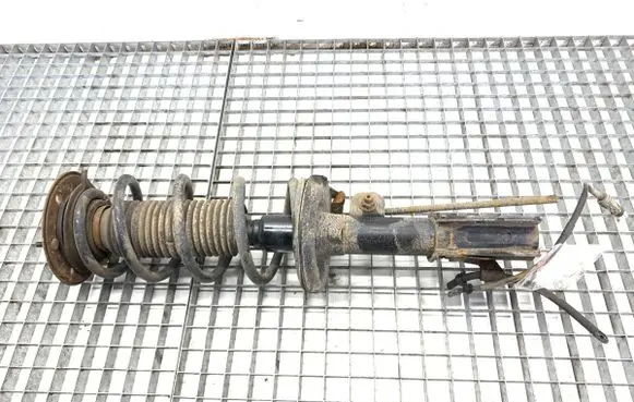 Opel Antara Front shock absorber/damper 
