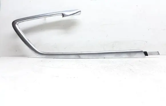 Other front door trim element