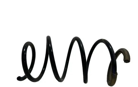 Renault Megane III Front coil spring 540100122R