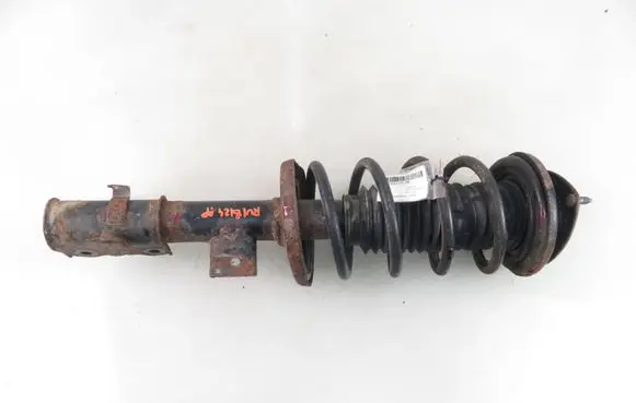 Suzuki Grand Vitara II Front shock absorber with coil spring 