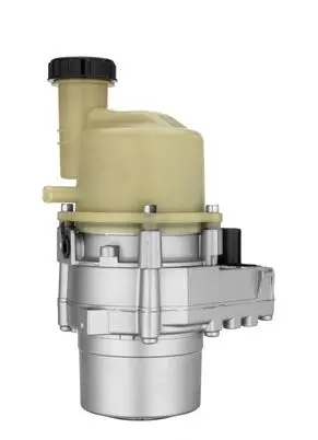 Dacia Lodgy Power steering pump 491100611R
