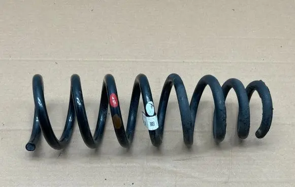 Rear coil spring
