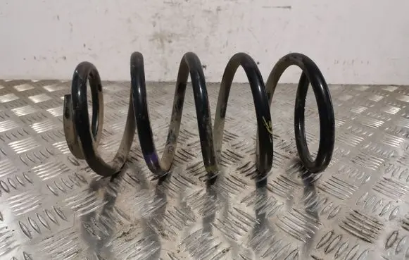 Hyundai Santa Fe Rear coil spring