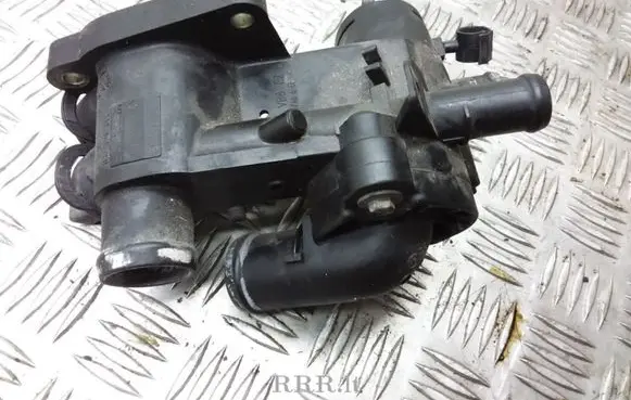 Thermostat/thermostat housing