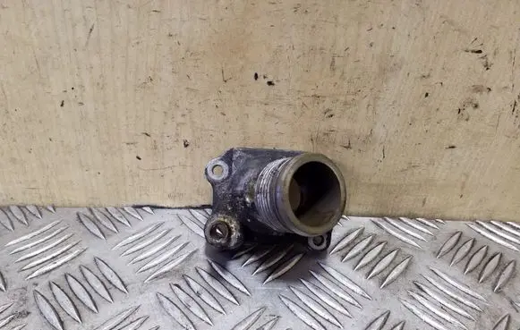 Thermostat/thermostat housing