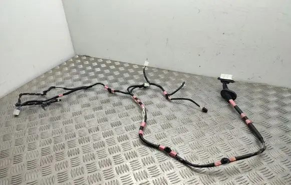 Lexus RX 450H Rear door wiring loom 8215448220F