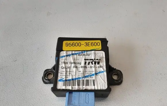 KIA Sorento Other control units/modules 956003E600