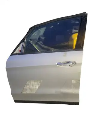 Ford S-MAX Front door 