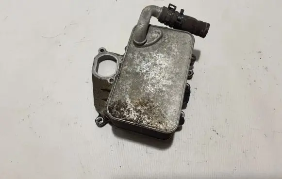 Oil filter mounting bracket