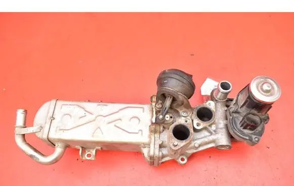 Volkswagen Tiguan EGR valve 0280751016