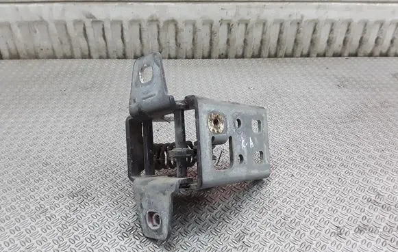 Dodge Durango Rear door lower hinge