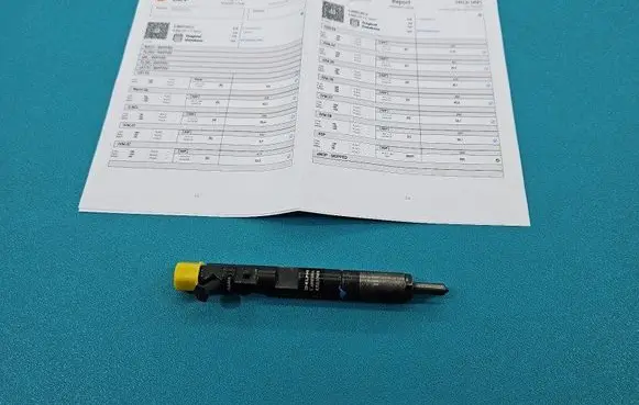 Renault Megane II Fuel injector EJBR01801A IMPRK1439433