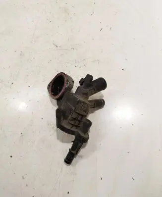 Thermostat/thermostat housing