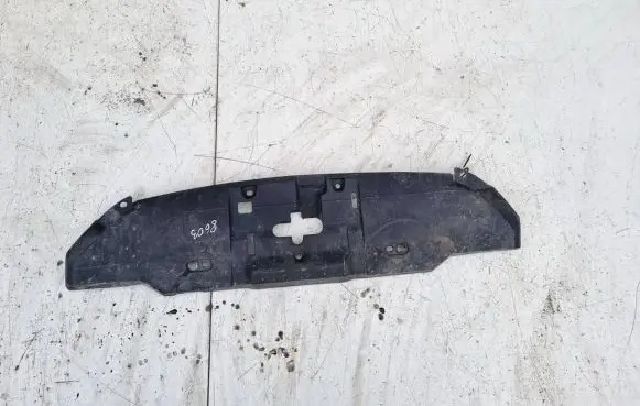 Engine bonnet/hood lock trim molding
