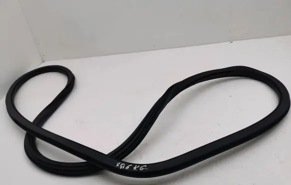 Rear door rubber seal (on body)