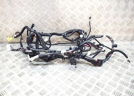 Tesla Model 3 Other wiring loom 421769002A