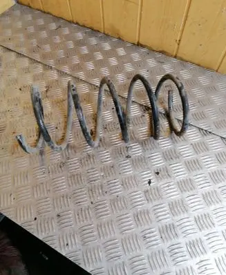 Front coil spring