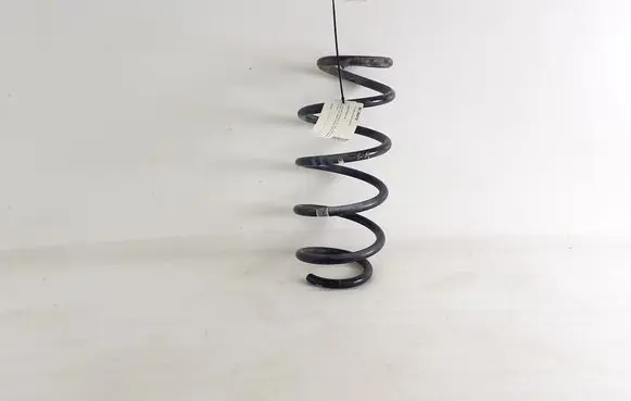 Front coil spring