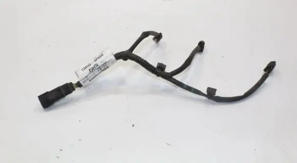 Ford Ecosport Fuel injector wires CM5G9F666 CM5G9F666BB