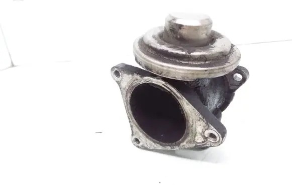 Skoda Octavia Mk2 (1Z) EGR valve 038131501AF