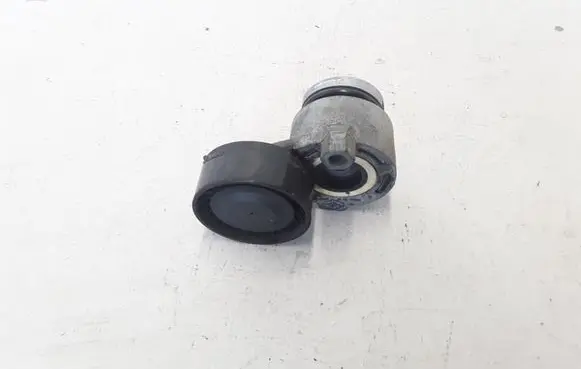 Renault Megane III Timing belt/chain tensioner 117503662R