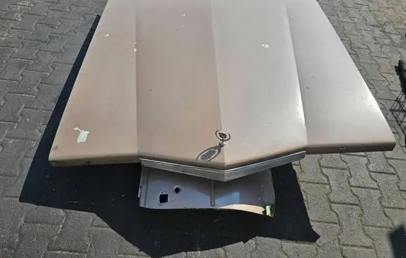 Engine bonnet/hood
