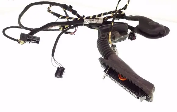 Volkswagen PASSAT CC Rear door wiring loom 3C8971694DB