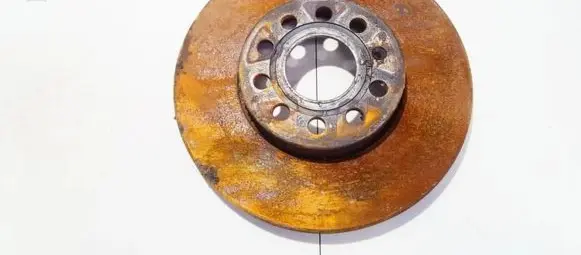 Volkswagen Golf V Front brake disc ventiliuojamas