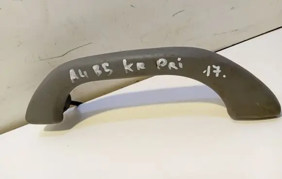 Front interior roof grab handle